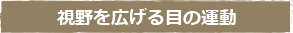 視野を広げる目の運動